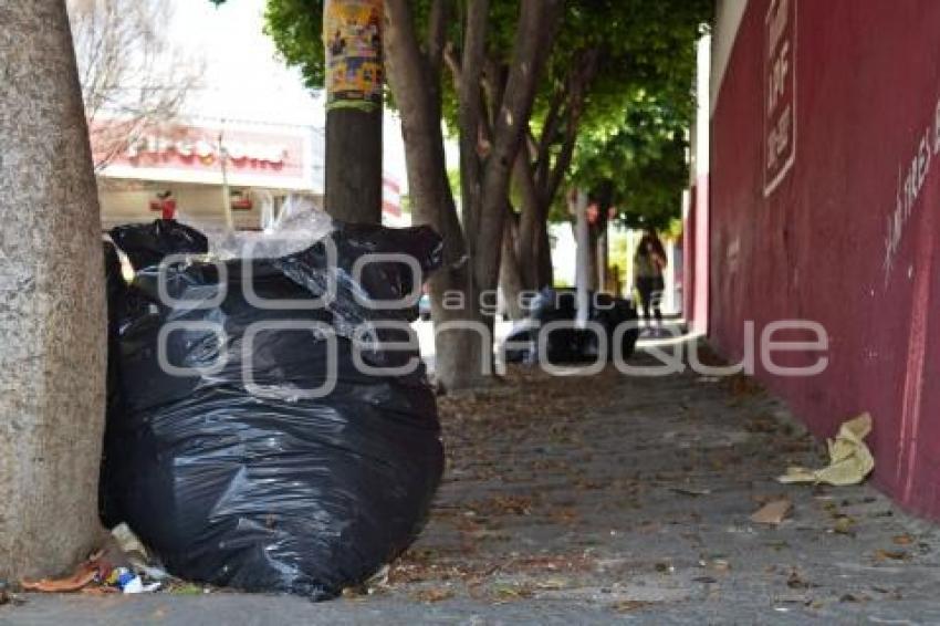 TEHUACÁN . BASURA