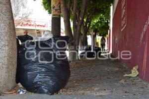 TEHUACÁN . BASURA