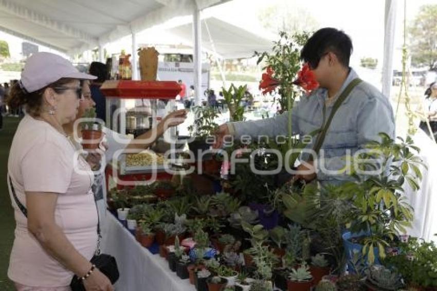 EXPO JÓVENES EMPRENDEDORES