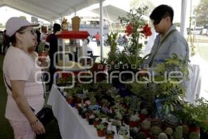 EXPO JÓVENES EMPRENDEDORES