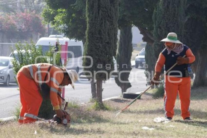 AYUNTAMIENTO . LIMPIEZA URBANA