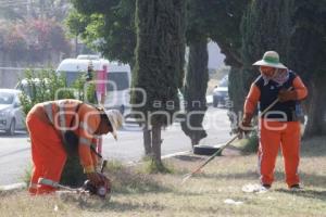 AYUNTAMIENTO . LIMPIEZA URBANA