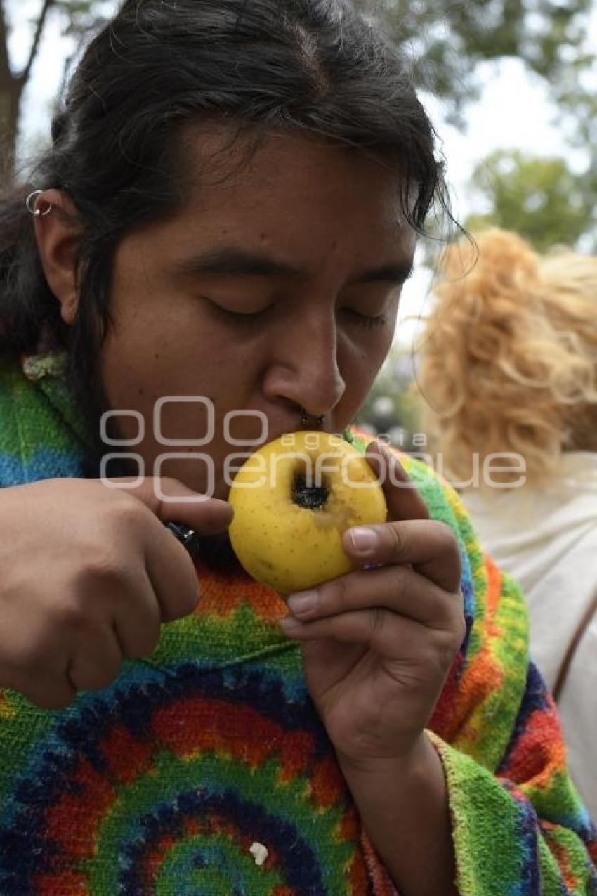 TLAXCALA . DÍA MUNDIAL DEL CANNABIS