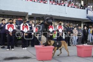 AYUNTAMIENTO . RALLY POR TU SEGURIDAD