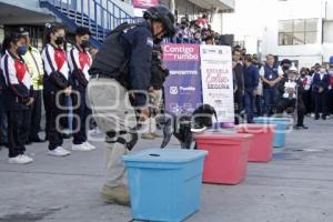 AYUNTAMIENTO . RALLY POR TU SEGURIDAD