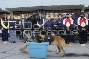 AYUNTAMIENTO . RALLY POR TU SEGURIDAD