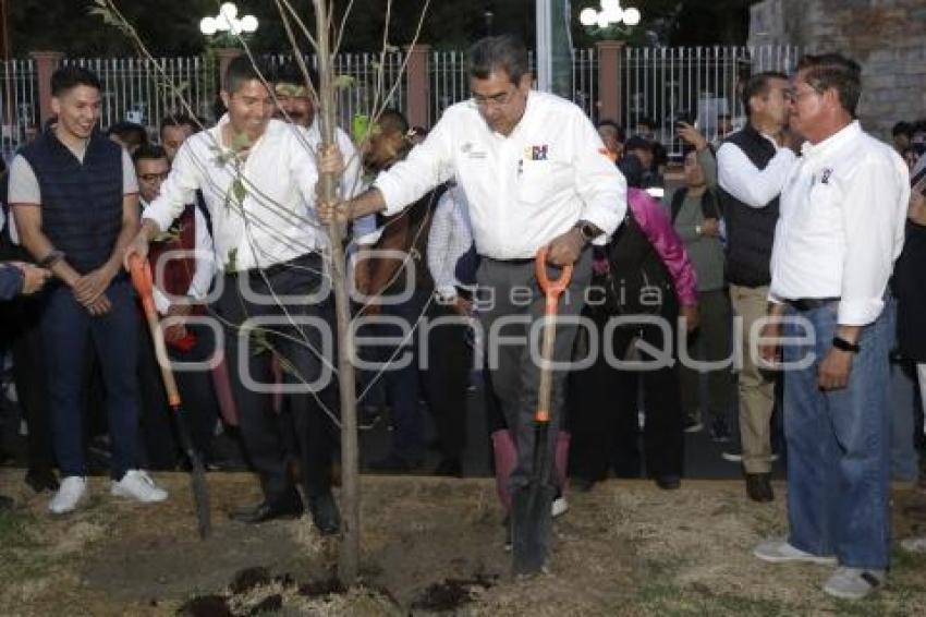 REHABILITACIÓN AVENIDA TECNOLÓGICO