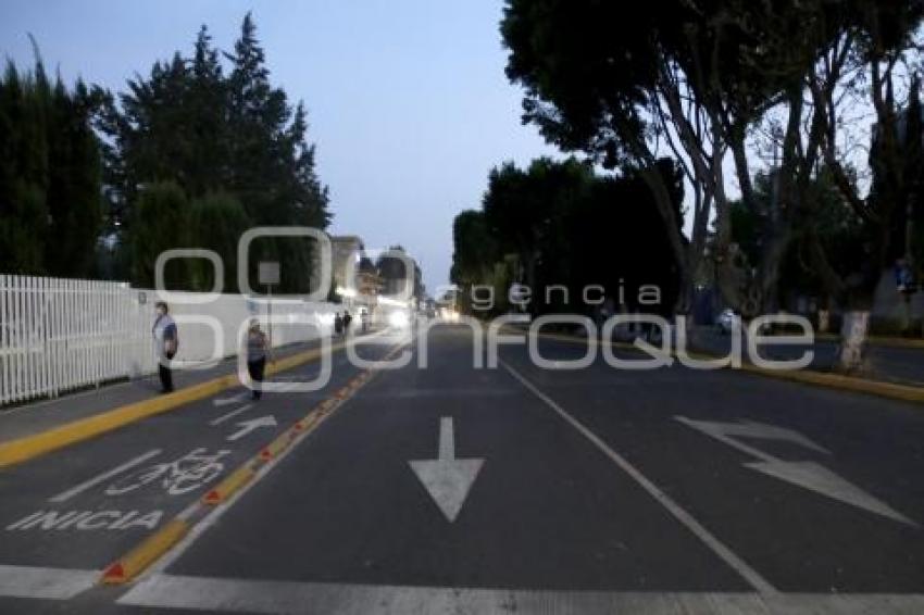 REHABILITACIÓN AVENIDA TECNOLÓGICO