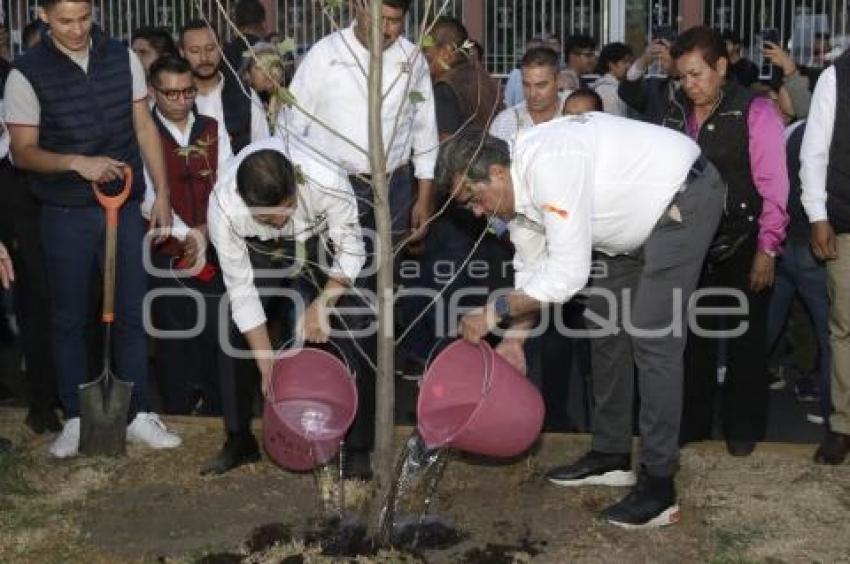 REHABILITACIÓN AVENIDA TECNOLÓGICO