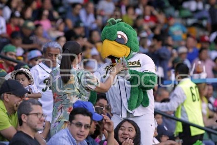 BEISBOL . PERICOS VS LEONES