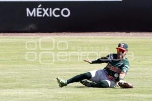 BEISBOL . PERICOS VS LEONES