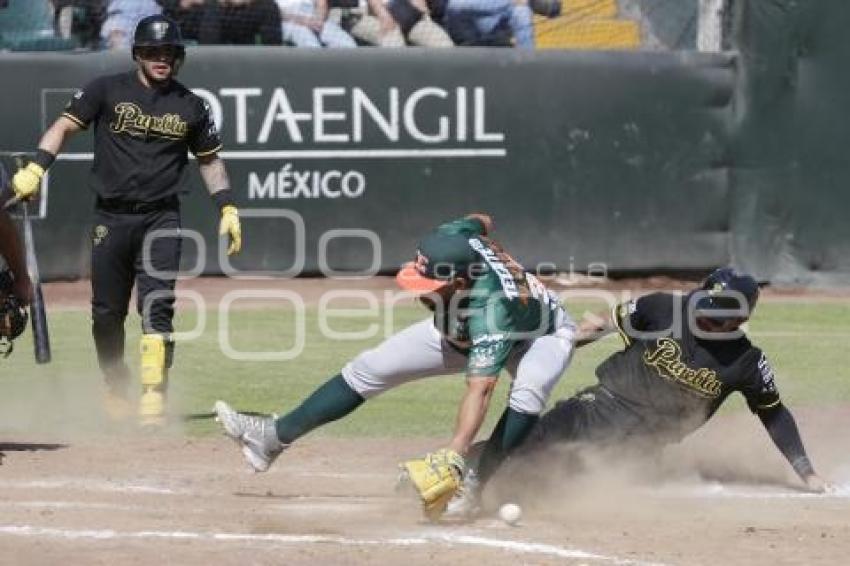 BEISBOL . PERICOS VS LEONES