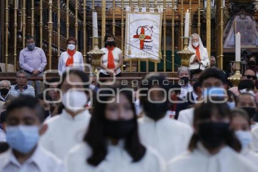 CATEDRAL . MISA