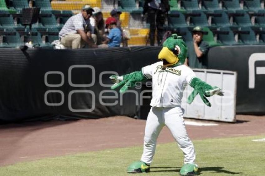 BEISBOL . PERICOS VS LEONES