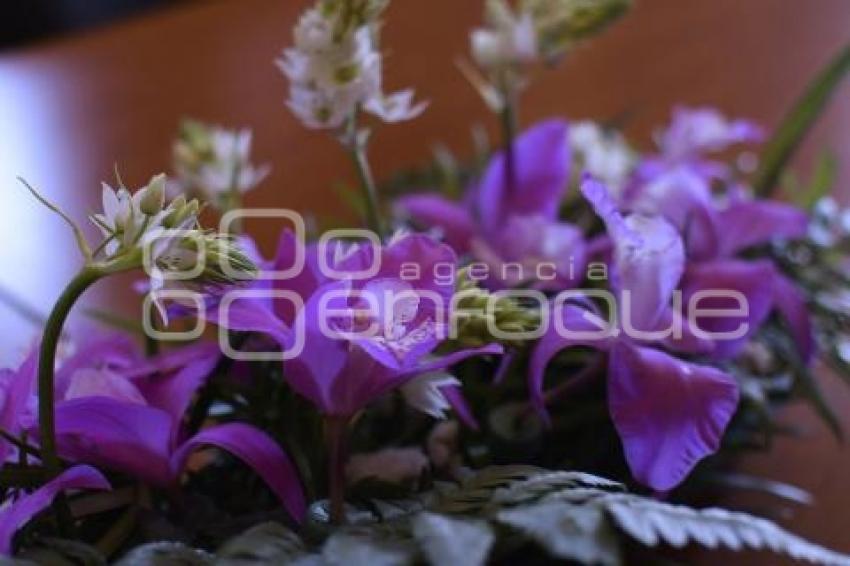TLAXCALA . EXPO VENTA ORQUÍDEA