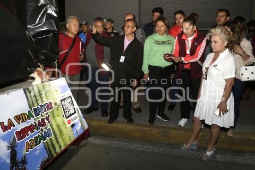 DESFILE . CARROS ALEGORICOS