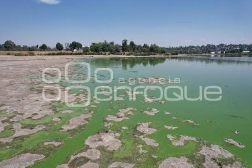 TLAXCALA . LAGUNA ACUITLAPILCO