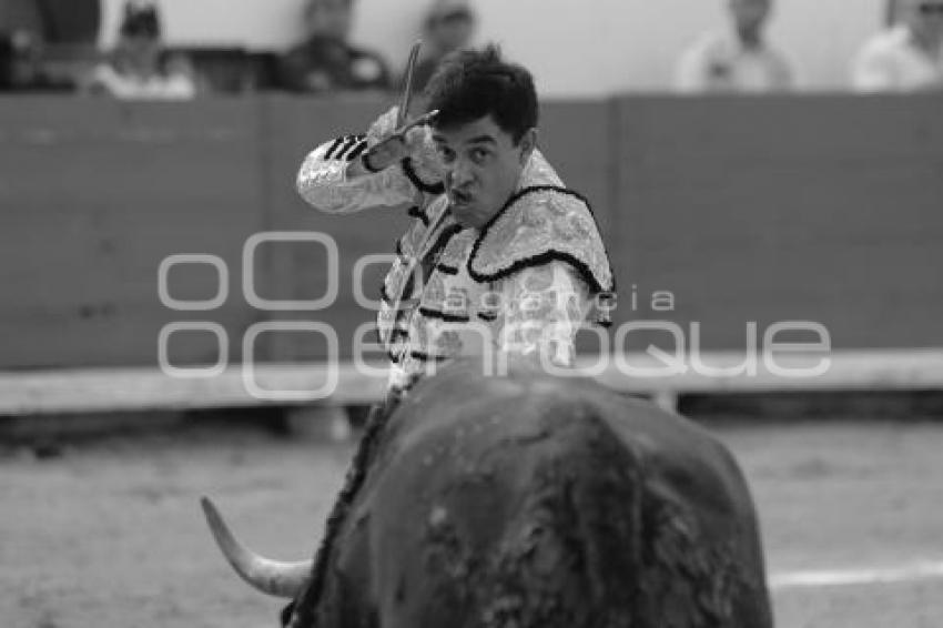 TOROS . RAFAEL ORTEGA