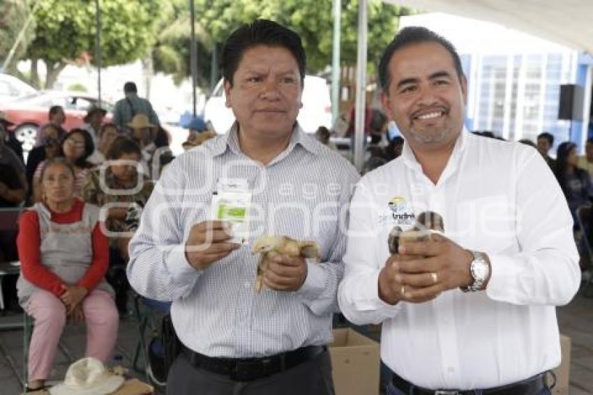 SAN ANDRÉS CHOLULA . ENTREGA AVES