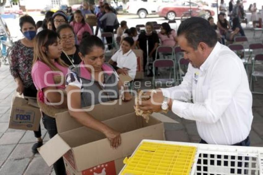 SAN ANDRÉS CHOLULA . ENTREGA AVES