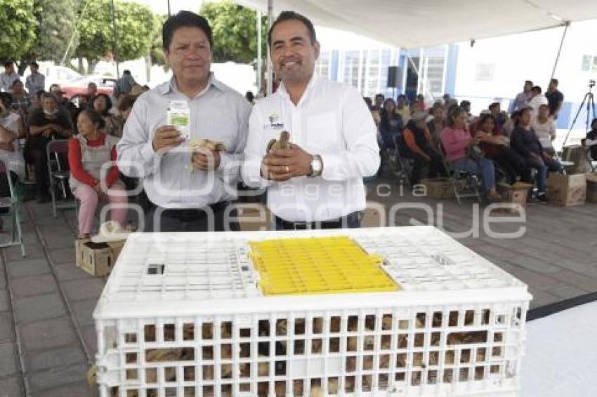 SAN ANDRÉS CHOLULA . ENTREGA AVES