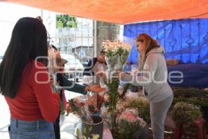 TLAXCALA . FLORISTAS PANTEÓN