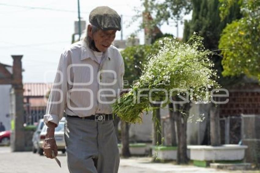 TLAXCALA . PANTEÓN . DÍA MADRES