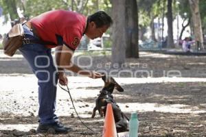 ADIESTRAMIENTO CANINO