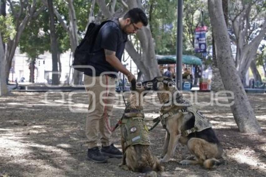 ADIESTRAMIENTO CANINO