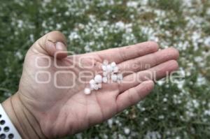 MEDIO AMBIENTE . GRANIZADA 