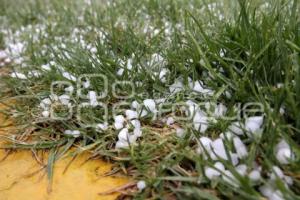 MEDIO AMBIENTE . GRANIZADA 