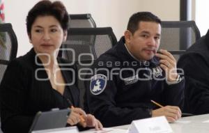 SECRETARÍA DE SEGURIDAD PÚBLICA