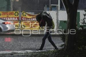 TLAXCALA . GRANIZO