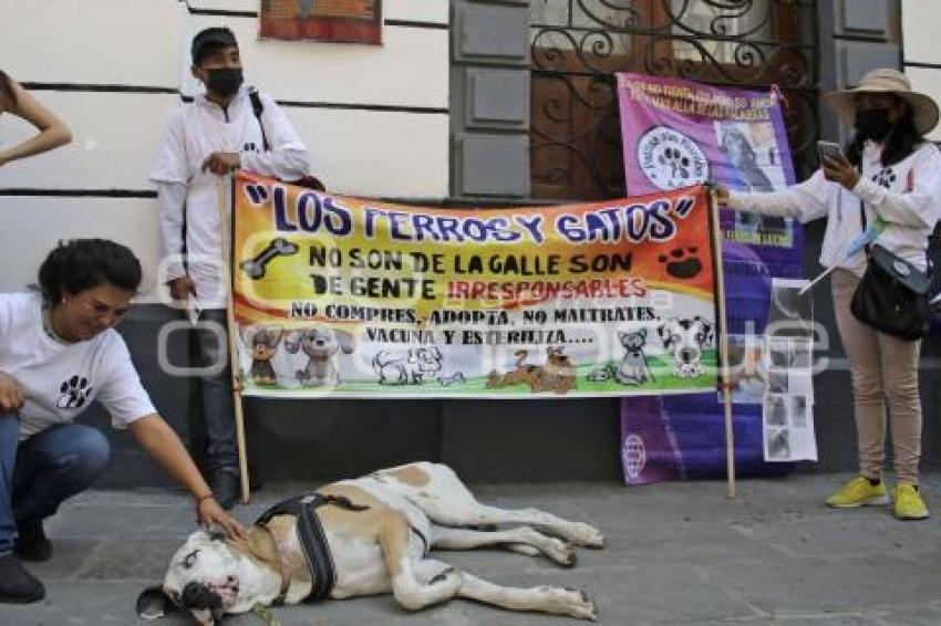 PROTESTA . LEY DE ESTERILIZACIÓN OBLIGATORIA