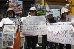 PROTESTA . LEY DE ESTERILIZACIÓN OBLIGATORIA