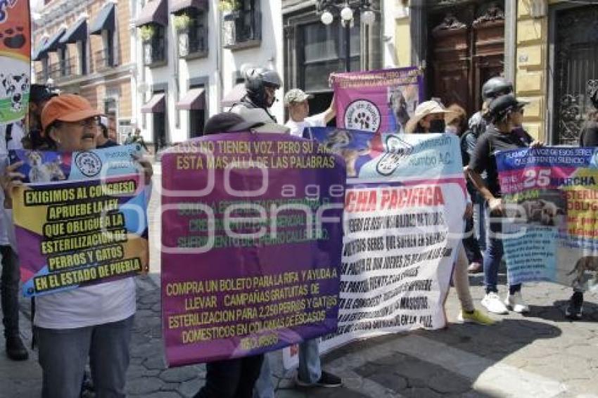 PROTESTA . LEY DE ESTERILIZACIÓN OBLIGATORIA