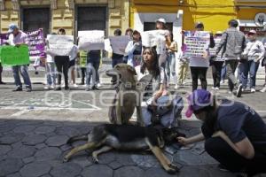 PROTESTA . LEY DE ESTERILIZACIÓN OBLIGATORIA