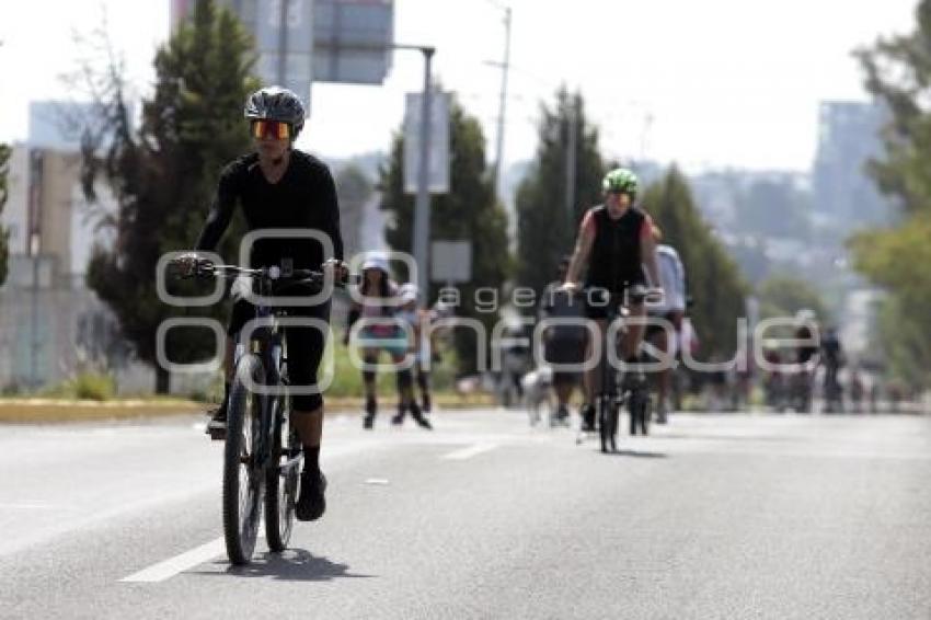 VÍA RECREATIVA METROPOLITANA