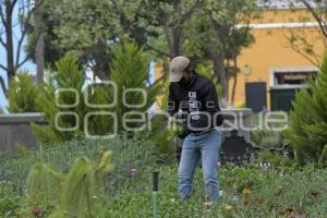 TLAXCALA . MANTENIMIENTO JARDINES