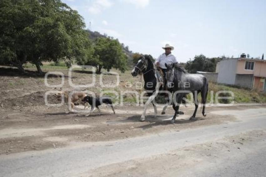 PASO DE CORTÉS . CARRETERA EN MAL ESTADO