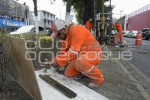 TLAXCALA . AUTOTRÉN