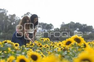 TLAXCALA . SANTUARIO GIRASOLES