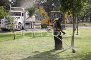 PARQUE DEL ARTE . REHABILITACIÓN