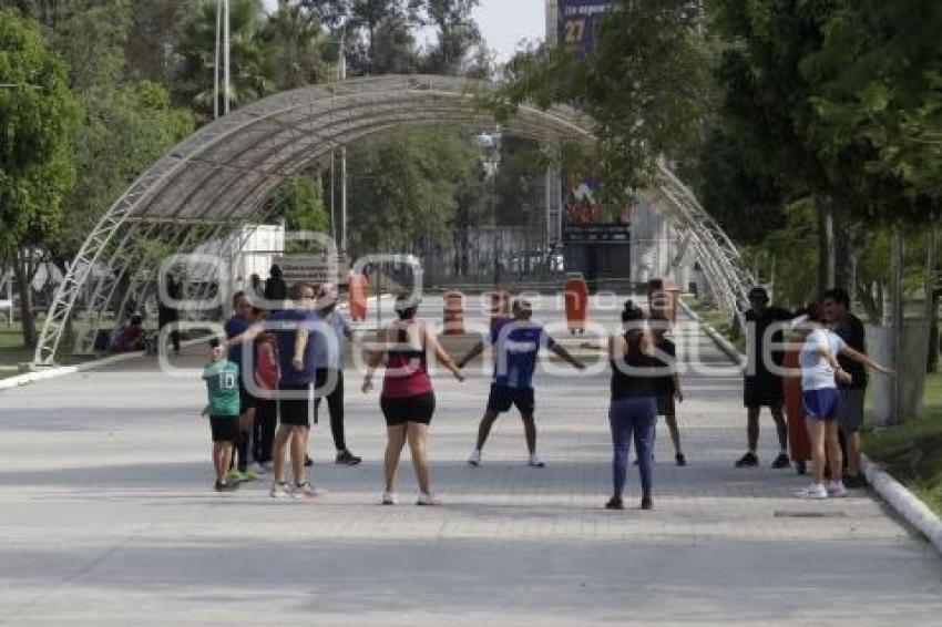 PARQUE DEL ARTE . REHABILITACIÓN