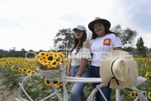 TLAXCALA . SANTUARIO GIRASOLES