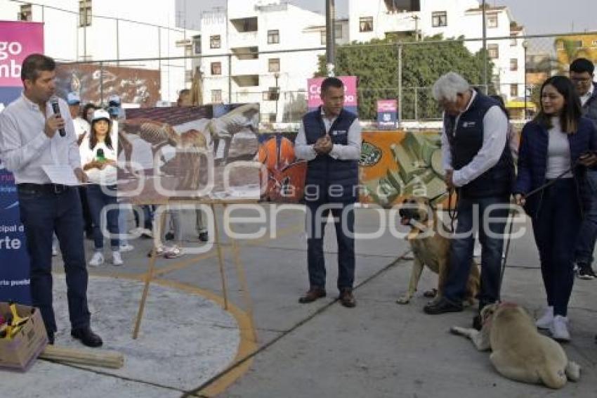 AYUNTAMIENTO . CONTIGO Y TUS PERRITOS