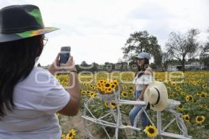 TLAXCALA . SANTUARIO GIRASOLES