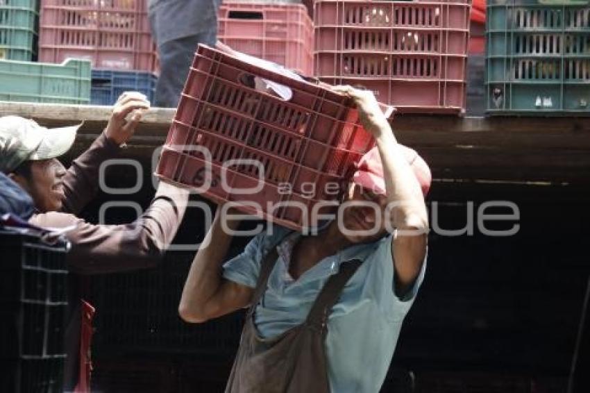 CENTRAL DE ABASTOS . TRABAJADORES