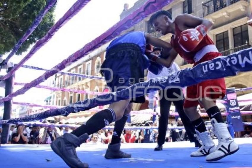 TORNEO DE LOS BARRIOS DE BOX