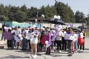 SANTA RITA TLAHUAPAN  MANIFESTACIÓN DANNA